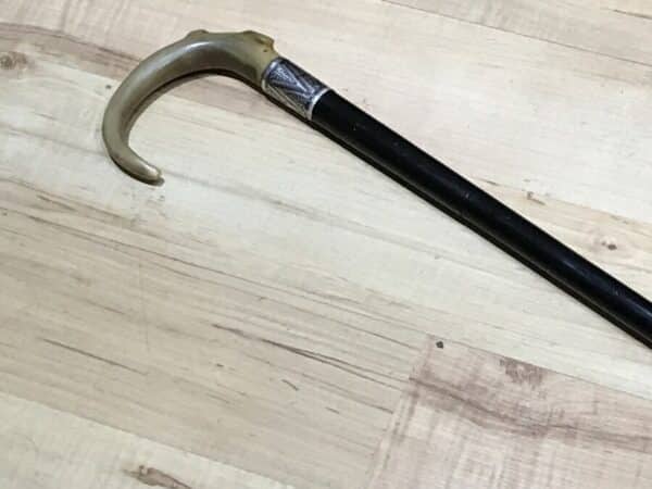 Gentleman’s walking stick sword horn handle with silver collar - Image 7