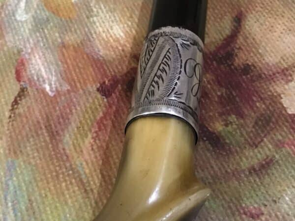 Gentleman’s walking stick sword horn handle with silver collar - Image 23