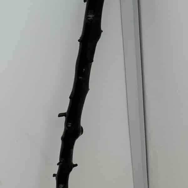Irish Blackthorn walking stick sword stick the Finest Miscellaneous 13