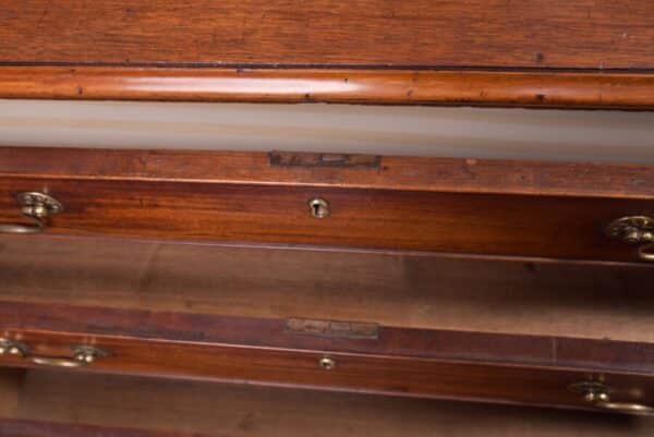 George III Mahogany Chest Of Drawers SAI1949B - Image 9