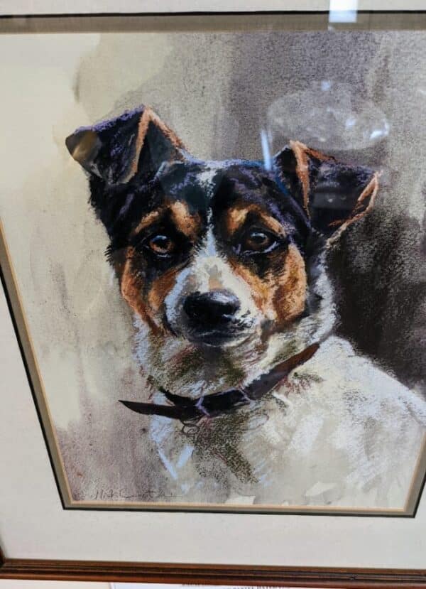 Jack Russell Head Study