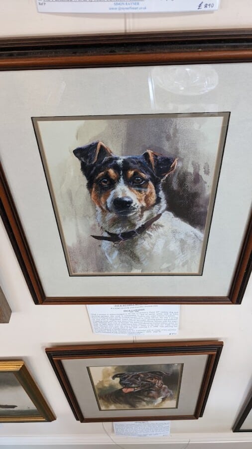 Jack Russell Head Study dog Antique Art 4
