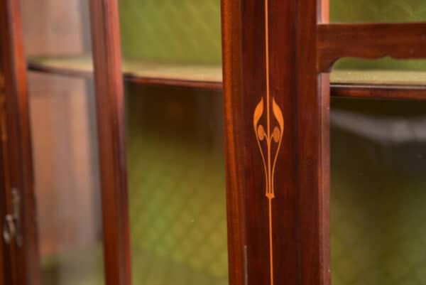 Art Nouveau Mahogany Display Cabinet SAI2660 - Image 8
