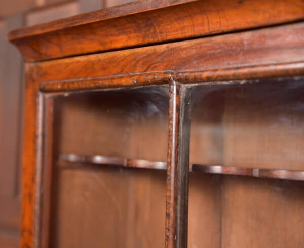 Walnut Display Cabinet SAI2655 - Image 4