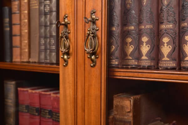 Edwardian Walnut Bookcase SAI2665 - Image 7