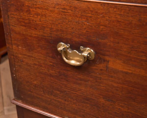 Georgian Mahogany Mule Chest / House Keeper's Trunk SAI2675 - Image 24