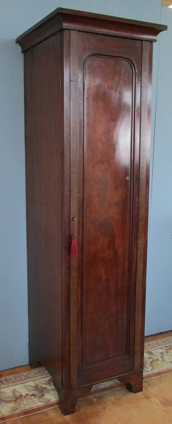 Mahogany 19th Century Single Door Wardrobe Antique Wardrobes 4