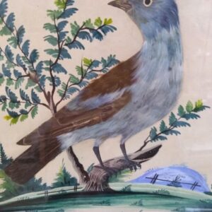 Unique Collection of 4 Featherbird Pictures Artprints Antique Art