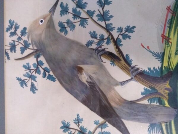 Unique Collection of 4 Featherbird Pictures Artprints Antique Art 6