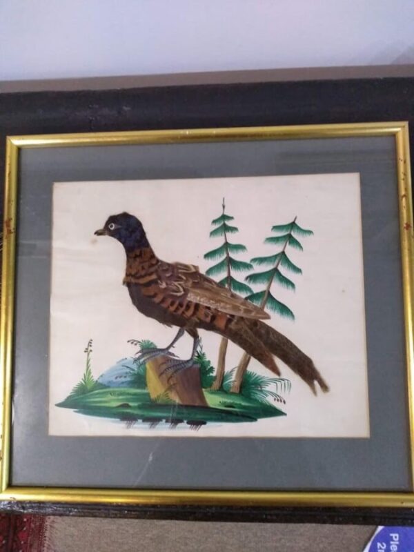 Unique Collection of 4 Featherbird Pictures - Image 5