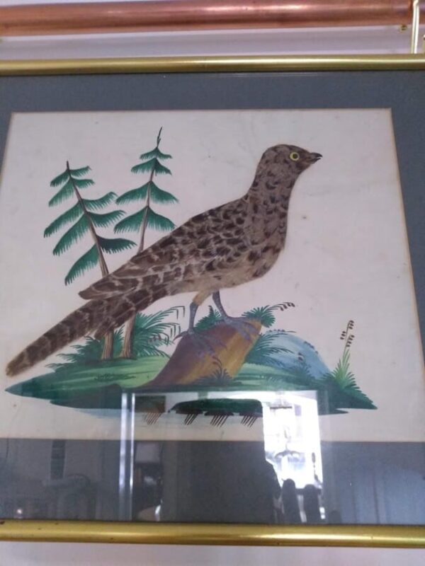 Unique Collection of 4 Featherbird Pictures Artprints Antique Art 8