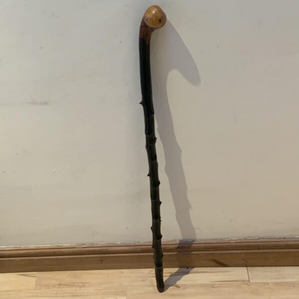 Irish Blackthorn walking stick sword stick Miscellaneous 4