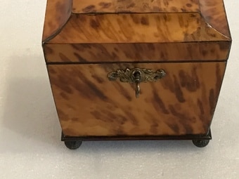 Tortoise shell tea caddy Antique Boxes 7