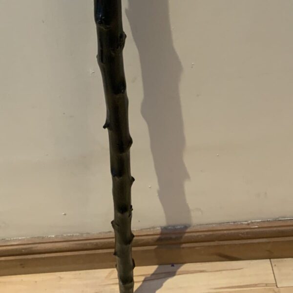 Irish Blackthorn walking stick sword stick Miscellaneous 6