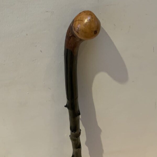 Irish Blackthorn walking stick sword stick Miscellaneous 5