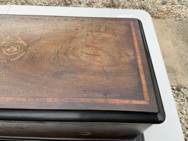 Nicole Freres Mandolin Piccolo music box - Image 4