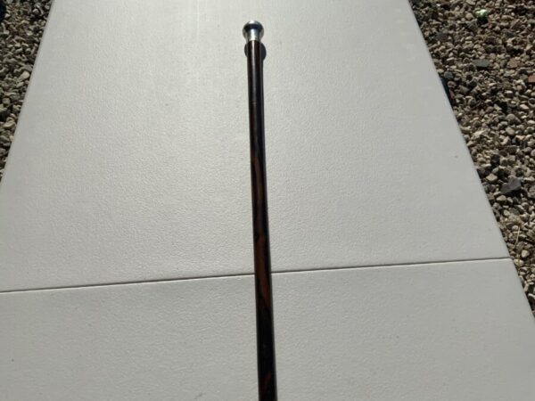 Fantastic Gentleman’s walking stick sword stick Miscellaneous 7