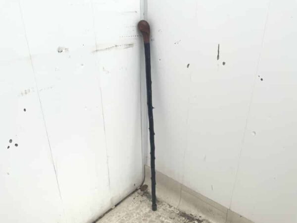 Irish Blackthorn walking stick sword stick Miscellaneous 4