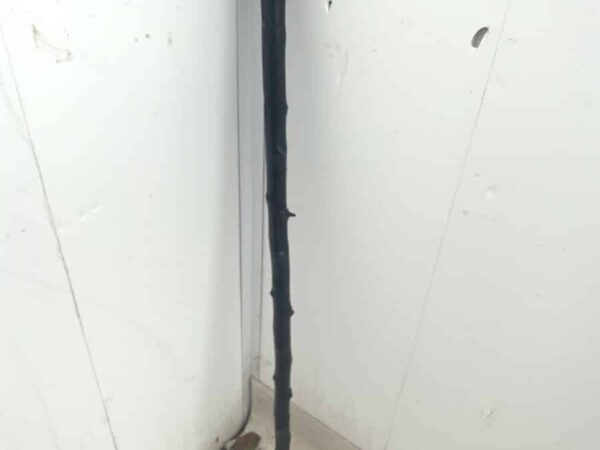 Irish Blackthorn walking stick sword stick - Image 4
