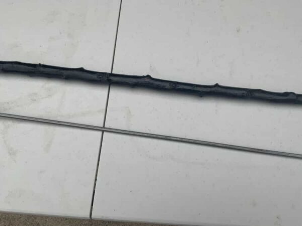 Irish Blackthorn walking stick sword stick Miscellaneous 17