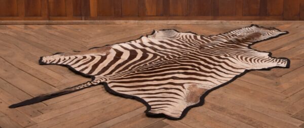 Zebra Rug SAI2748 Antique Rugs 4