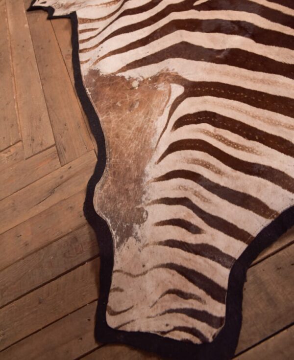 Zebra Rug SAI2748 Antique Rugs 7