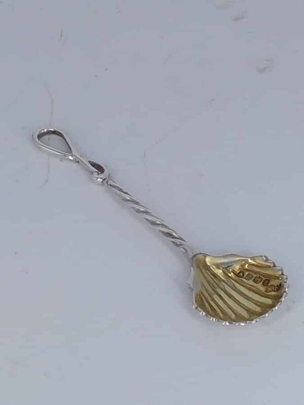 William IV Shell Design Silver Salt Spoon