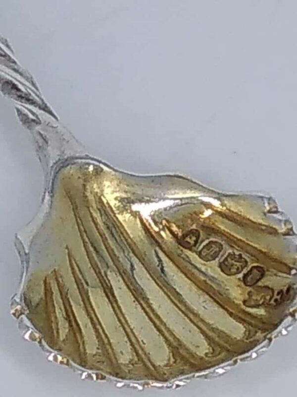 William IV Shell Design Silver Salt Spoon - Image 2