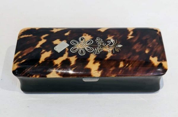 Tortoise Shell Box snuff box Miscellaneous 3