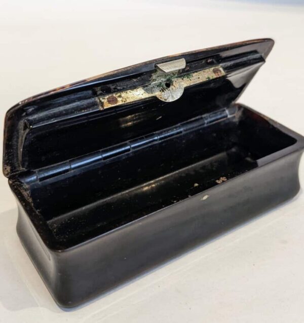 Tortoise Shell Box snuff box Miscellaneous 7