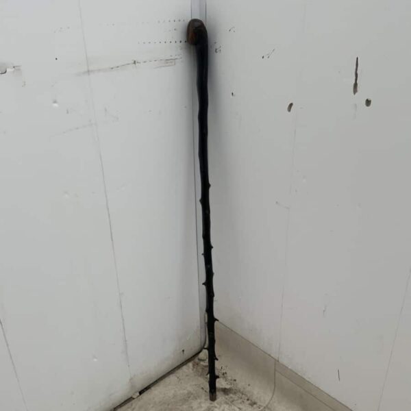 Irish Blackthorn walking stick sword stick - Image 2