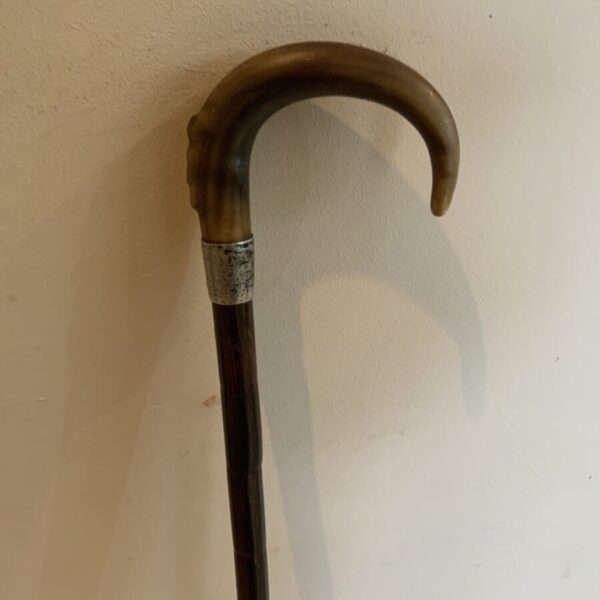 Elegant Gentleman’s walking stick sword stick with silver collar - Image 4