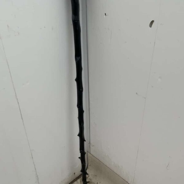 Irish Blackthorn walking stick sword stick - Image 8