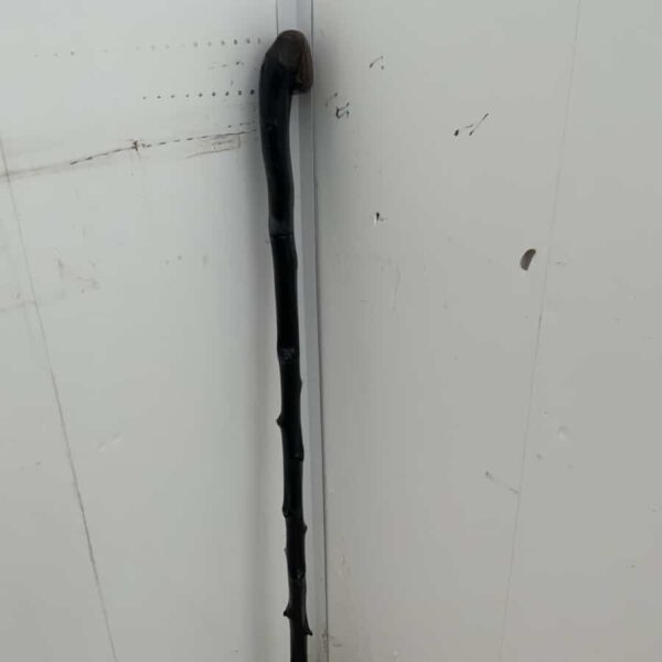 Irish Blackthorn walking stick sword stick - Image 7
