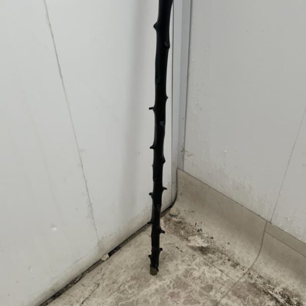 Irish Blackthorn walking stick sword stick - Image 11