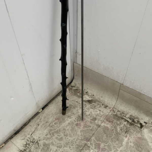 Irish Blackthorn walking stick sword stick - Image 15