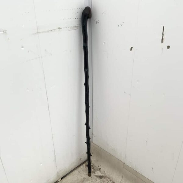 Irish Blackthorn walking stick sword stick - Image 5
