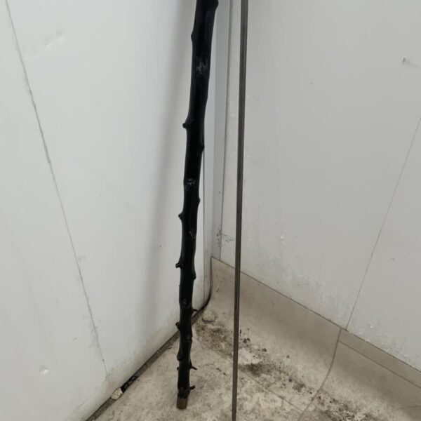 Irish Blackthorn walking stick sword stick - Image 14