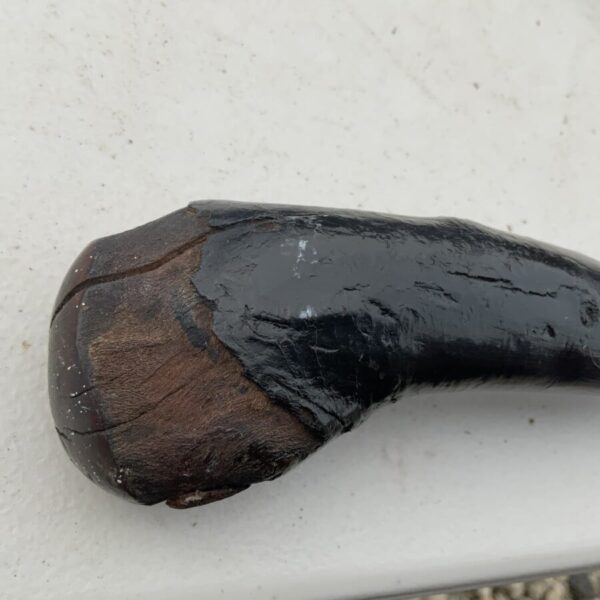 Irish Blackthorn walking stick sword stick - Image 23