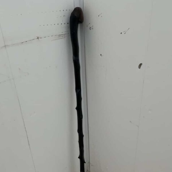 Irish Blackthorn walking stick sword stick Miscellaneous 8