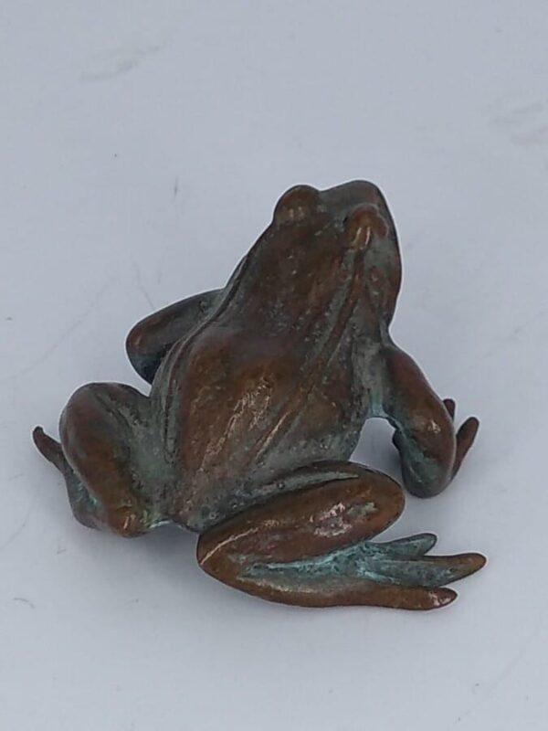 Bronze Frog Sculpture Animal sculpture Antique Sculptures 11
