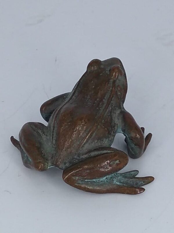 Bronze Frog Sculpture - Image 9
