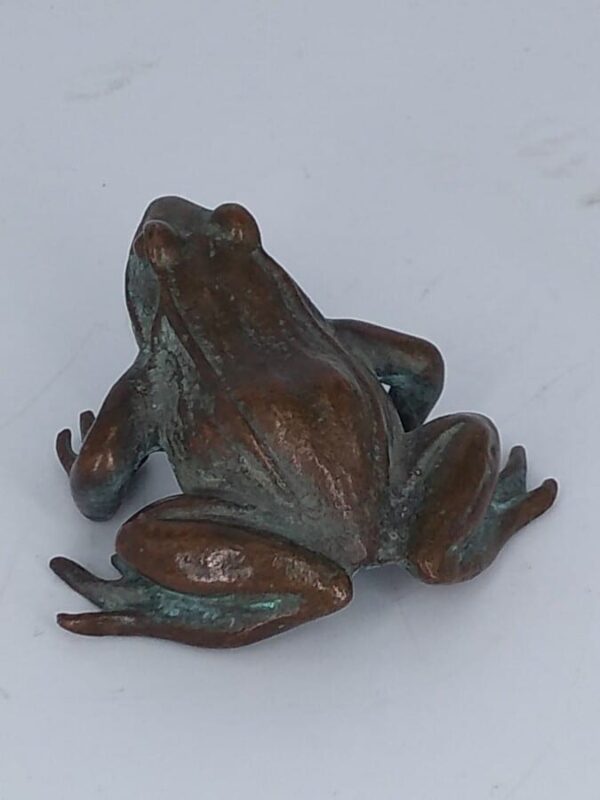 Bronze Frog Sculpture