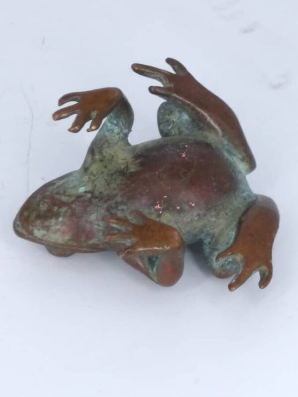 Bronze Frog Sculpture Animal sculpture Antique Sculptures 7