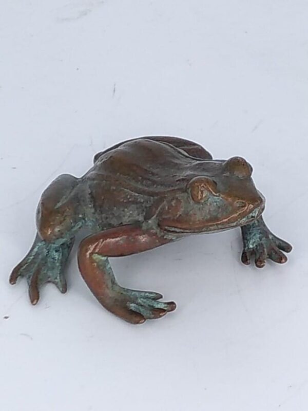 Bronze Frog Sculpture - Image 4