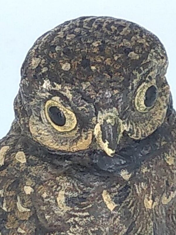 Cold Painted Bronze Owl - Image 3