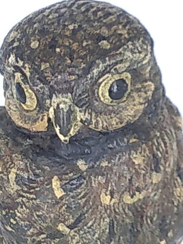 Cold Painted Bronze Owl - Image 4