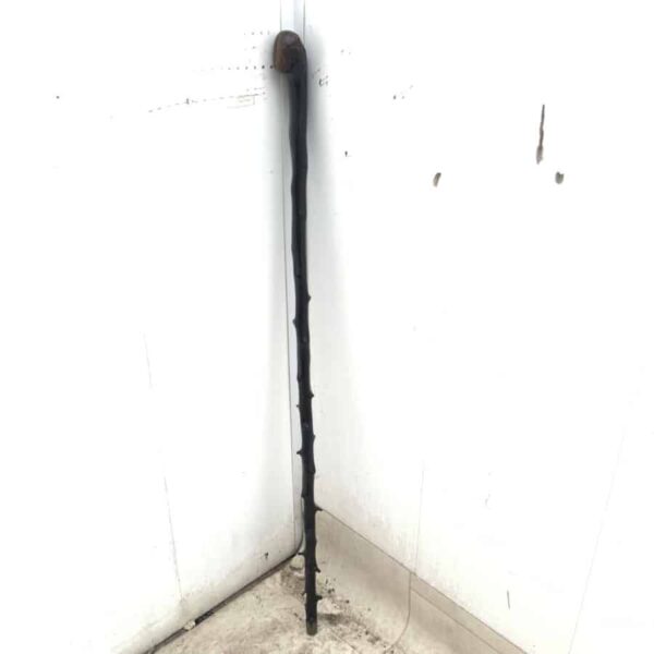 Irish Blackthorn walking stick sword stick