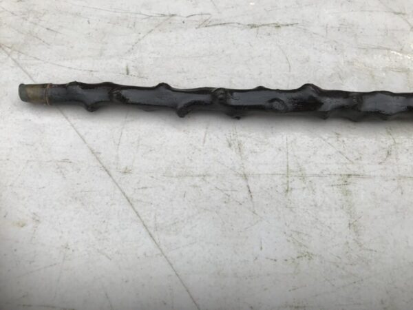 Irish Blackthorn walking stick sword stick The Best of the Best - Image 15