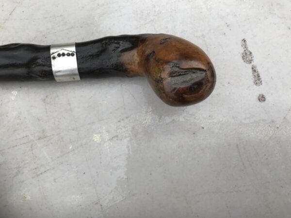 Irish Blackthorn walking stick sword stick The Best of the Best - Image 17